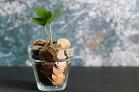 Ein kleines Glas ist mit Euro-Münzen gefüllt. In der Mitte sprießt eine Pflanze ein paar Zentimeter in die Höhe und hat auch bereits ein paar Blätter. 